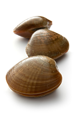 Clams with closed shells